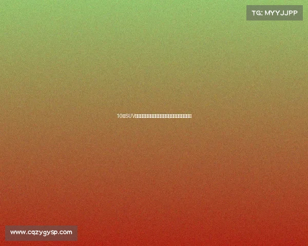 10款SUV，如同装甲车般坚固耐用，兼具安全性和卓越性能