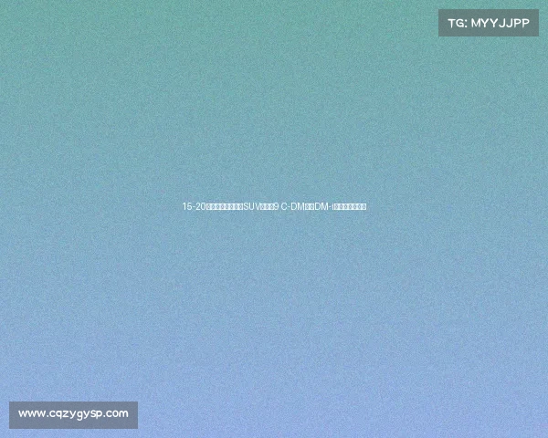 15-20万落地买家用混动SUV:瑞虎9 C-DM与唐DM-i谁更值得入手? 15-20万落地买家用混动SUV:瑞虎9 C-DM与唐DM-i谁更值得入手?